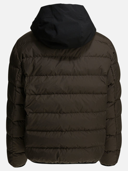 Down jackets Logo  Brown - Moncler Men | PLP | VIETTI Online Store | 2
