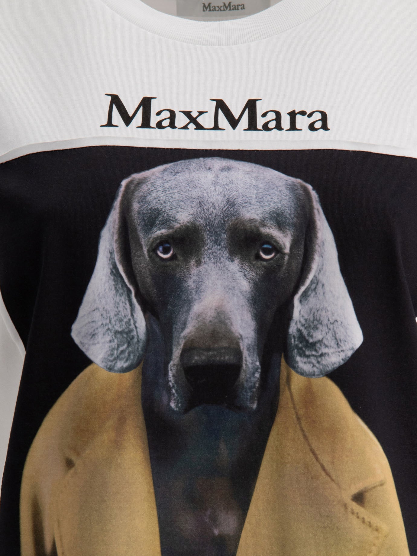 Max Mara Printed jersey t-shirt White