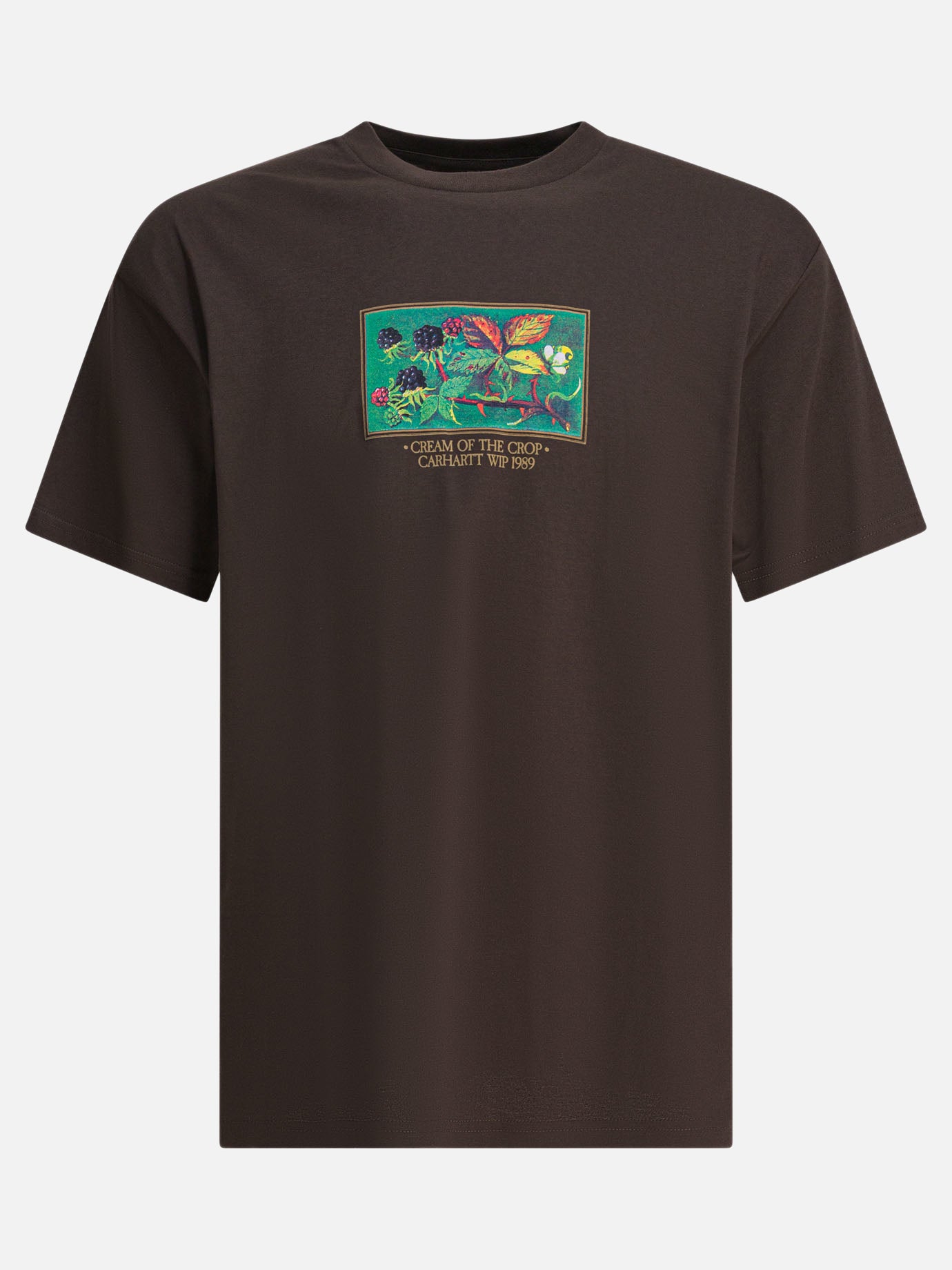Crewneck t-shirts Print  Brown - Carhartt WIP Men | PDP | VIETTI Online Store | Zoom-Modal
