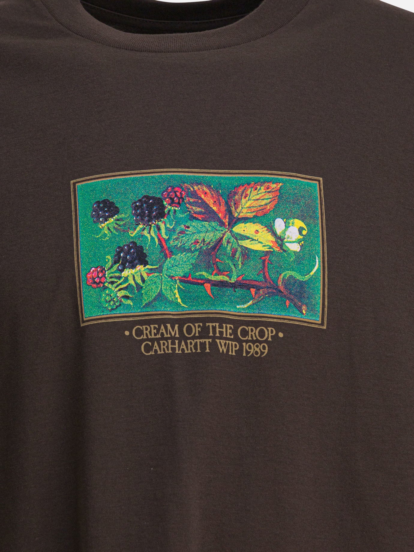 Crewneck t-shirts Print  Brown - Carhartt WIP Men | PDP | VIETTI Online Store | thumbnail_3