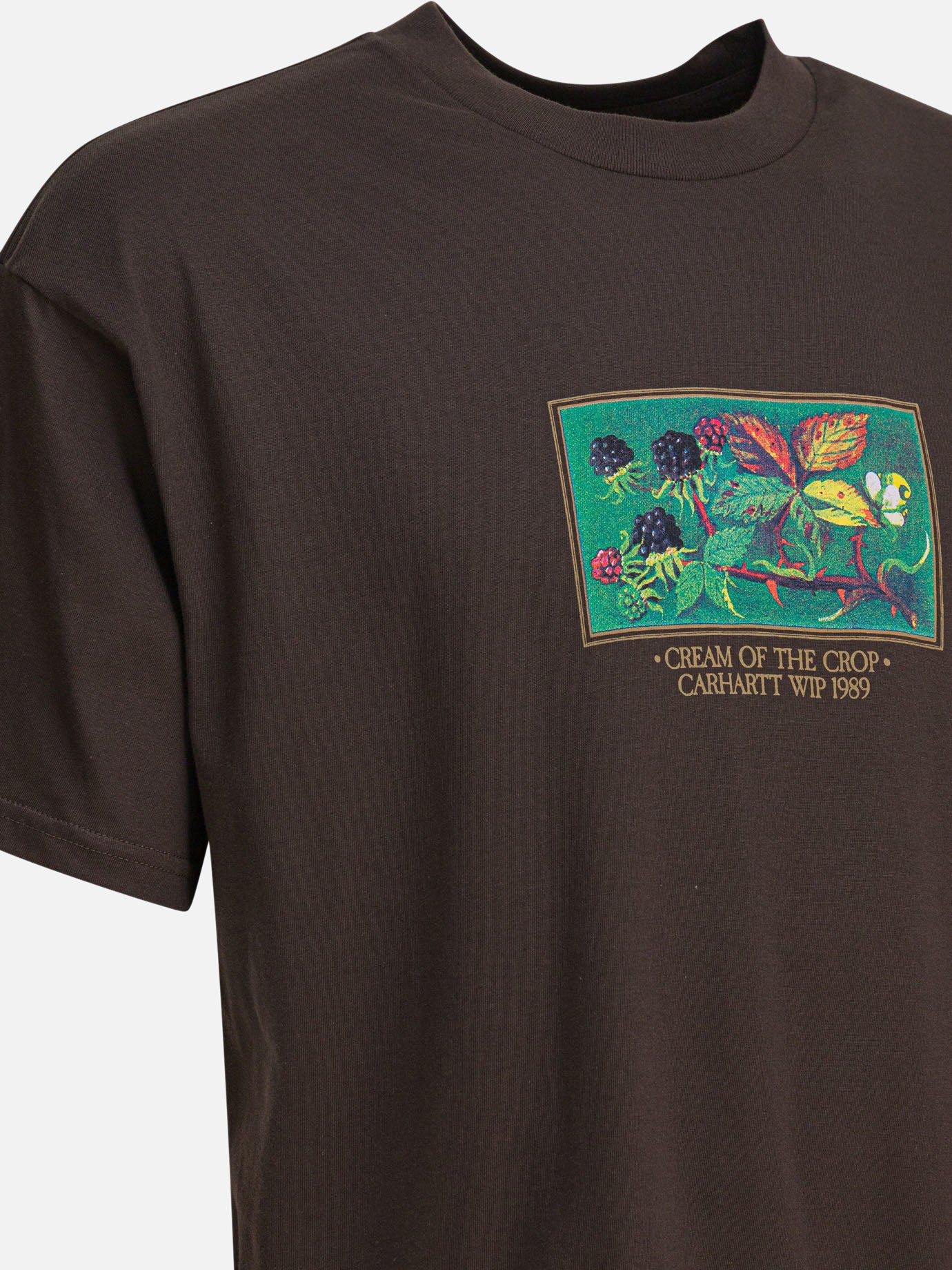 Crewneck t-shirts Print  Brown - Carhartt WIP Men | PDP | VIETTI Online Store | Zoom-Modal_4
