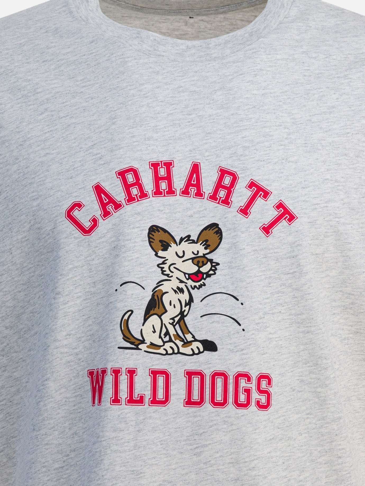 Crewneck t-shirts Print  Grey - Carhartt WIP Men | PDP | VIETTI Online Store | Zoom-Modal_3
