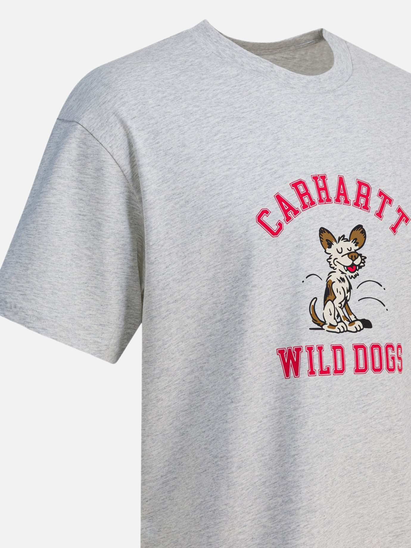 Crewneck t-shirts Print  Grey - Carhartt WIP Men | PDP | VIETTI Online Store | Zoom-Modal_4
