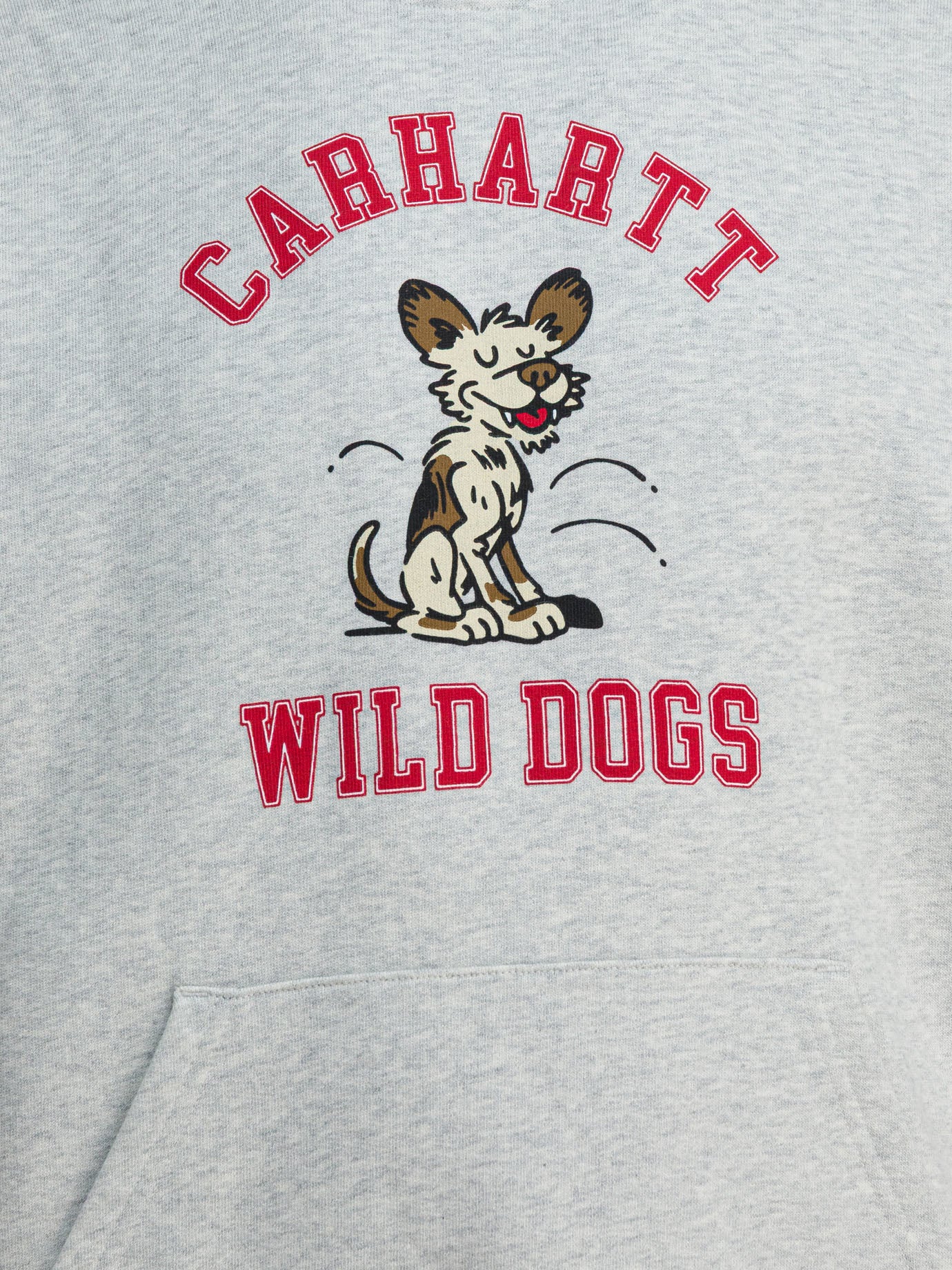 Hoodies Graphics  Grey - Carhartt WIP Men | PDP | VIETTI Online Store | Zoom-Modal_3
