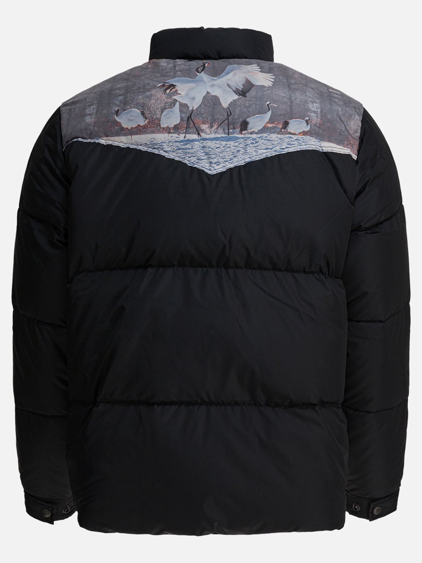 Down jackets Graphics  Black - Needles Men | PDP | VIETTI Online Store | thumbnail_2